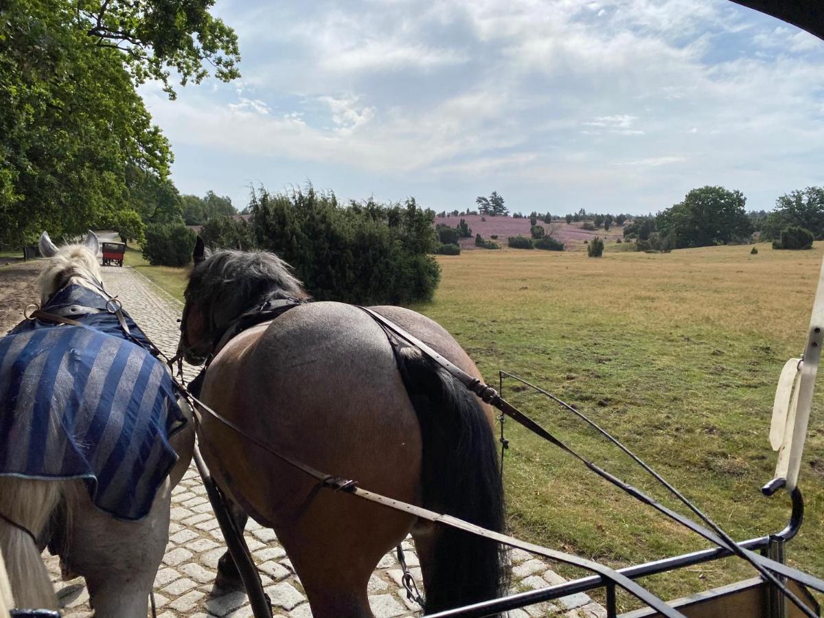 Huus Utspann Fewo Mit Terrasse - 23 Km Vor Hamburg - Seevetal Buitenkant foto